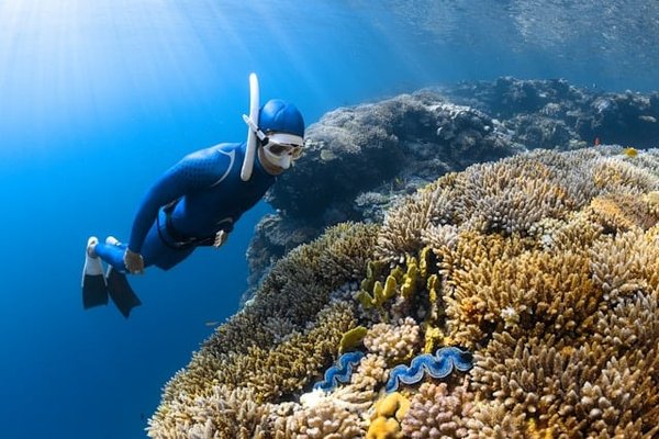 Quels sont les meilleurs spots pour une plongée sous-marine en Thaïlande?